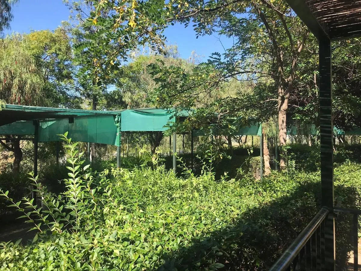 Campsite Camping Rural Presa La Vinuela